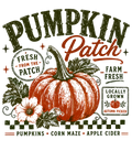 Pumpkin Patch Cute!